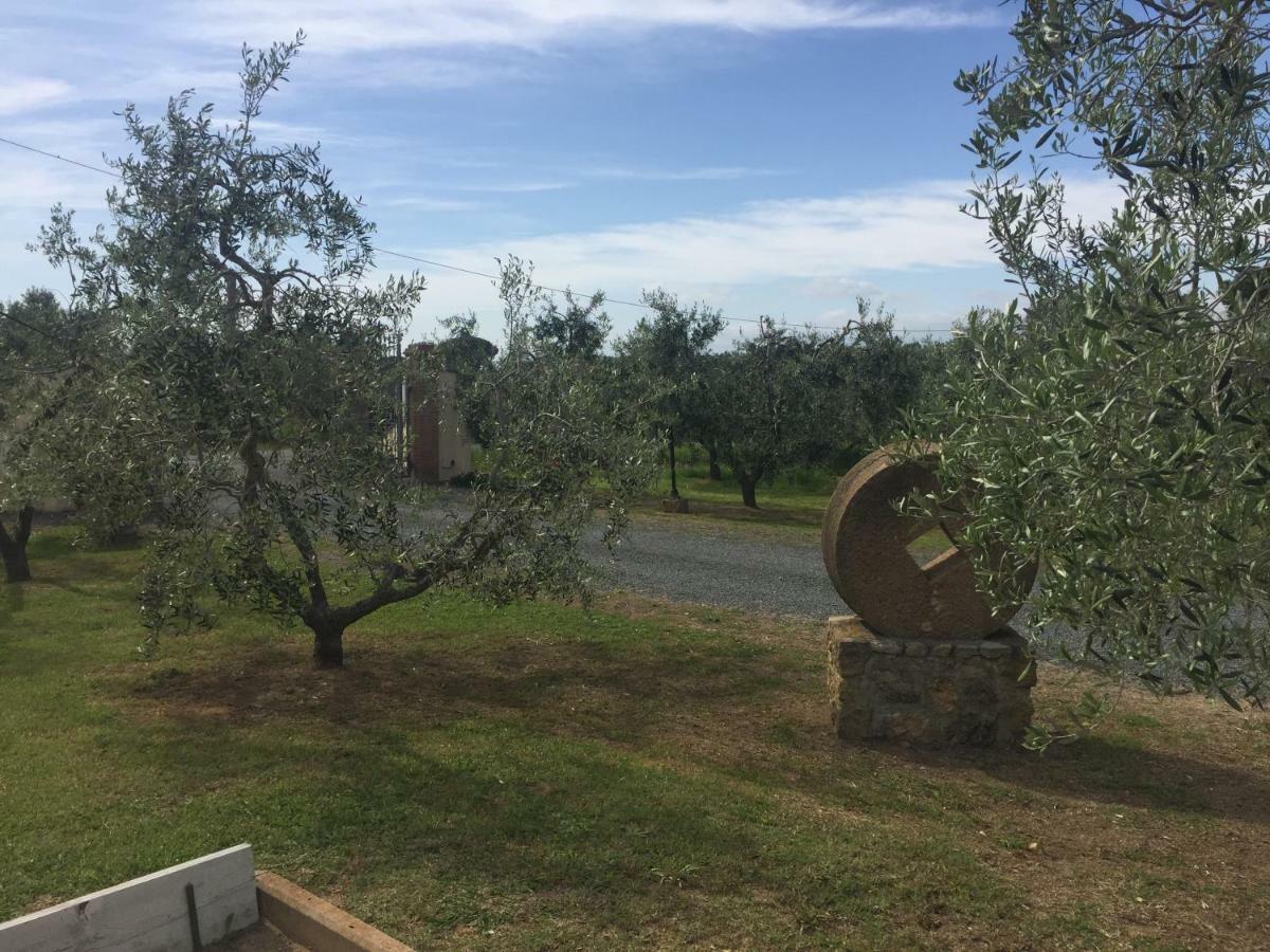 Le Macine Villa Cecina  Eksteriør billede