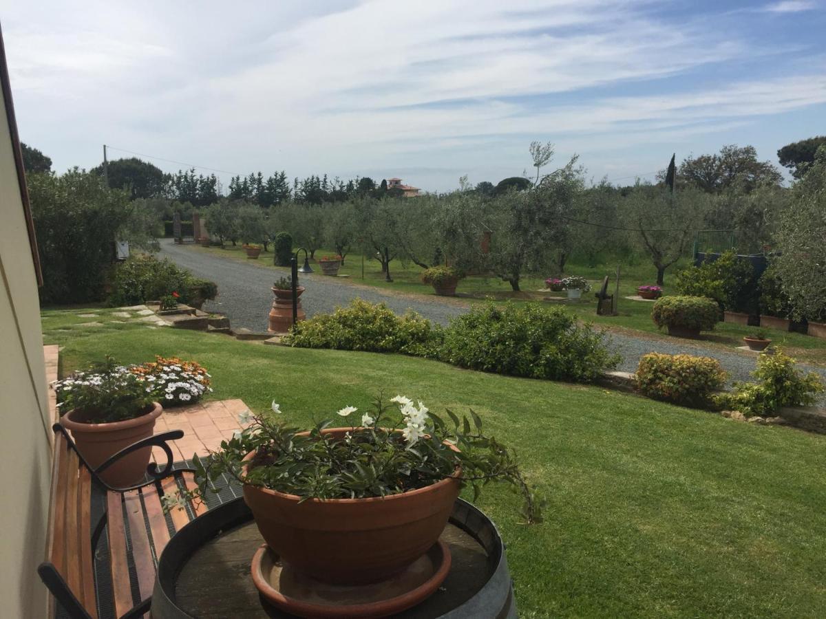 Le Macine Villa Cecina  Eksteriør billede